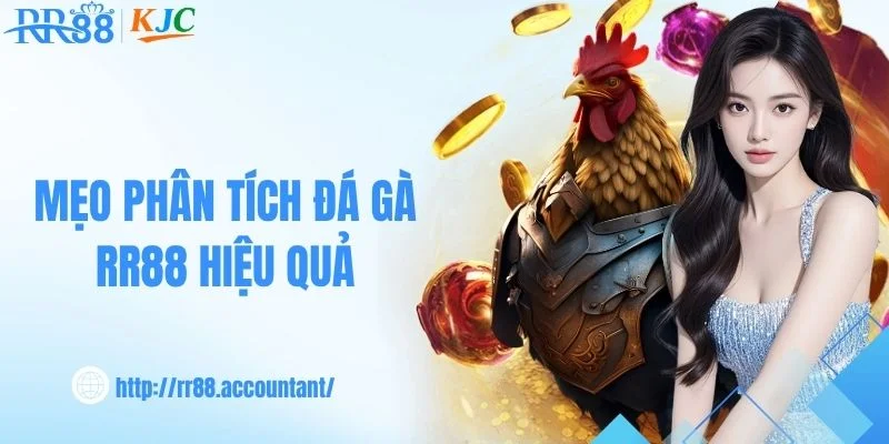 Cách quan sát và phân tích trận đấu tại RR88