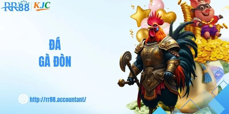 Đá Gà Đòn - Theo Dõi Những Màn So Tài Cùng Nhà Cái RR88