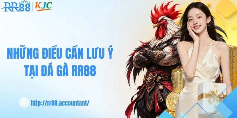 Điều cần lưu ý khi theo dõi đá gà RR88