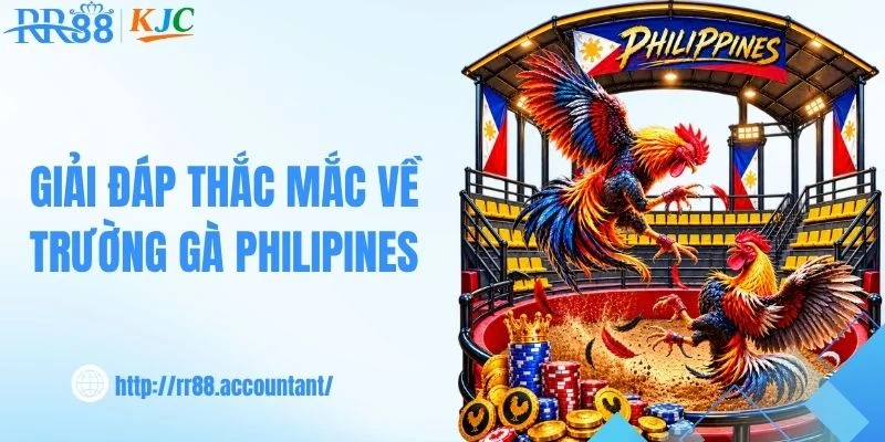 Giải đáp thắc mắc về trường gà Philipines
