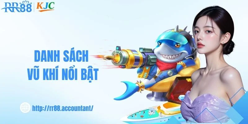 Hệ thống súng và vũ khí hỗ trợ trong RR88