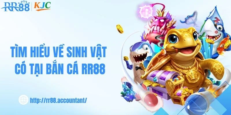 Khám phá thế giới sinh vật biển tại RR88