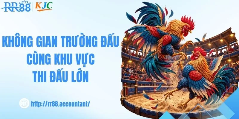 Không gian trường đấu cùng khu vực thi đấu lớn