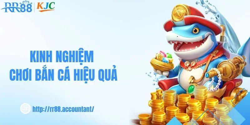 Mẹo trải nghiệm bắn cá RR88 dành cho người mới
