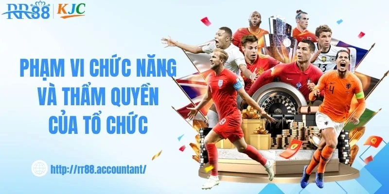 Phạm vi chức năng và thẩm quyền của tổ chức
