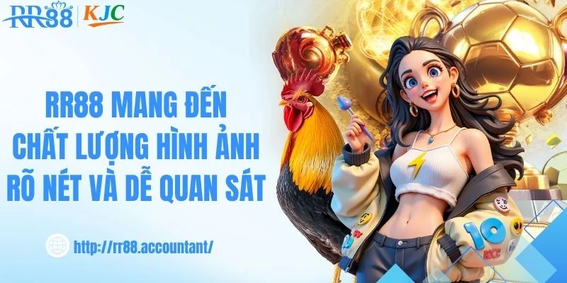 RR88 mang đến chất lượng hình ảnh rõ nét và dễ quan sát
