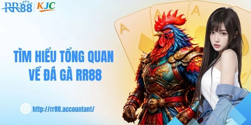 Tìm hiểu các yếu tố đáng chú ý trong trận đá gà