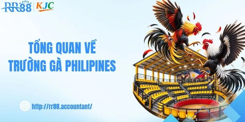 Tổng quan về trường gà Philipines