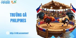 Trường Gà Philipines - Sân Chơi Săn Thưởng Trên RR88