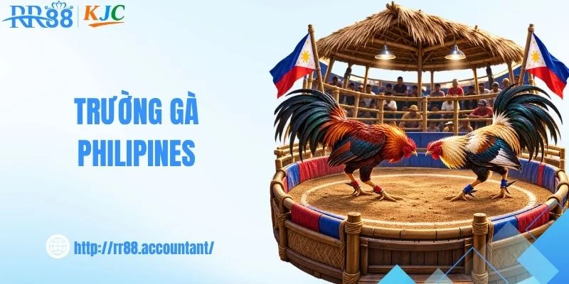 Trường Gà Philipines - Sân Chơi Săn Thưởng Trên RR88